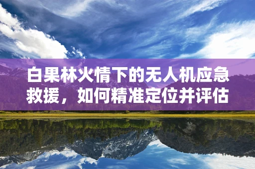 白果林火情下的无人机应急救援，如何精准定位并评估火势？