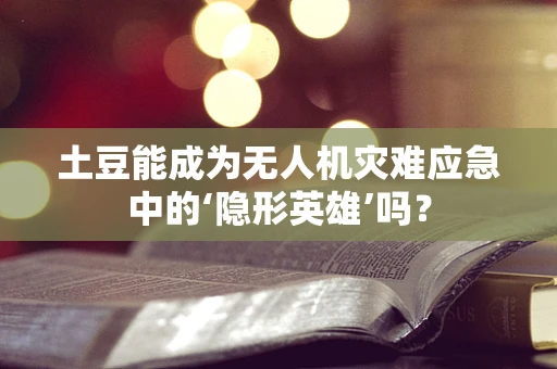 土豆能成为无人机灾难应急中的‘隐形英雄’吗？