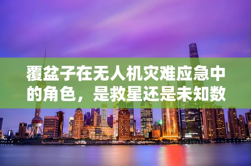覆盆子在无人机灾难应急中的角色，是救星还是未知数？