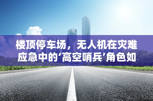 楼顶停车场，无人机在灾难应急中的‘高空哨兵’角色如何精准定位？