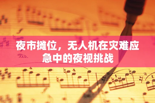 夜市摊位，无人机在灾难应急中的夜视挑战