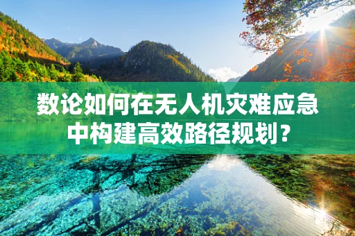 数论如何在无人机灾难应急中构建高效路径规划？