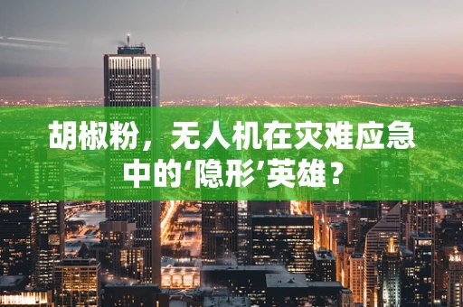 胡椒粉，无人机在灾难应急中的‘隐形’英雄？