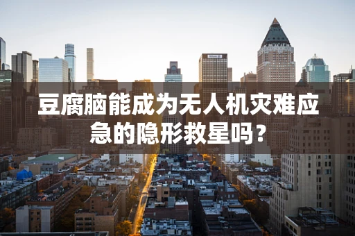 豆腐脑能成为无人机灾难应急的隐形救星吗？