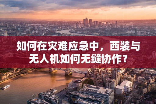 如何在灾难应急中，西装与无人机如何无缝协作？