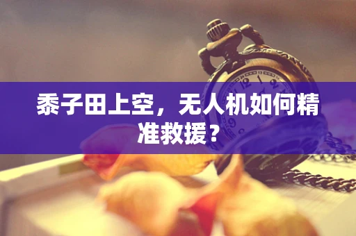 黍子田上空，无人机如何精准救援？