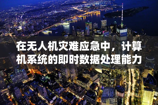 在无人机灾难应急中，计算机系统的即时数据处理能力如何保障高效响应？