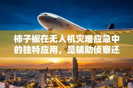 柿子椒在无人机灾难应急中的独特应用，是辅助侦察还是另辟蹊径？