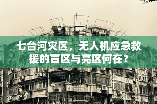 七台河灾区，无人机应急救援的盲区与亮区何在？
