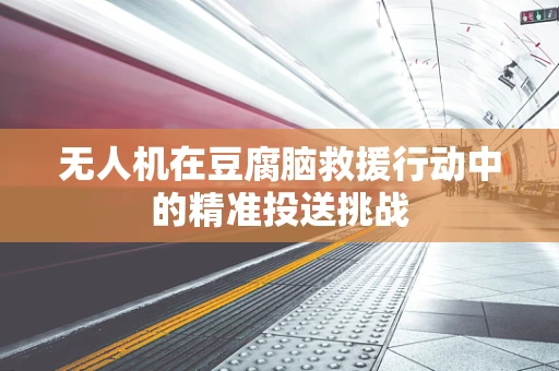 无人机在豆腐脑救援行动中的精准投送挑战