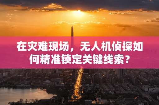 在灾难现场，无人机侦探如何精准锁定关键线索？