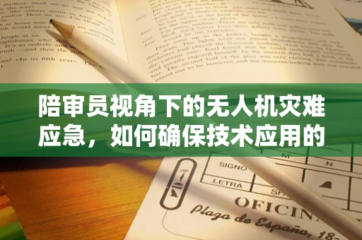 陪审员视角下的无人机灾难应急，如何确保技术应用的公正与高效？