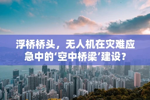 浮桥桥头，无人机在灾难应急中的‘空中桥梁’建设？