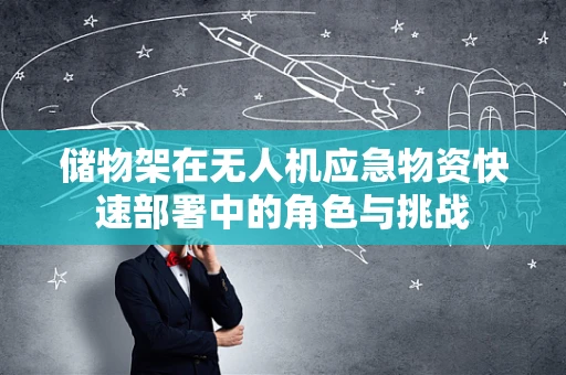储物架在无人机应急物资快速部署中的角色与挑战