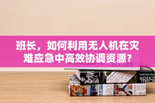 班长，如何利用无人机在灾难应急中高效协调资源？
