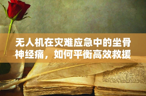 无人机在灾难应急中的坐骨神经痛，如何平衡高效救援与人员健康？