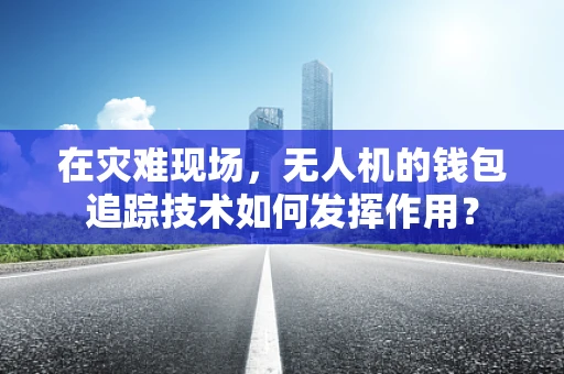在灾难现场，无人机的钱包追踪技术如何发挥作用？