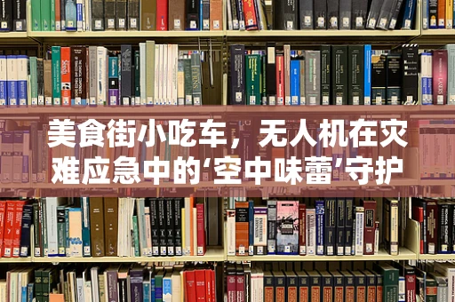美食街小吃车，无人机在灾难应急中的‘空中味蕾’守护者？