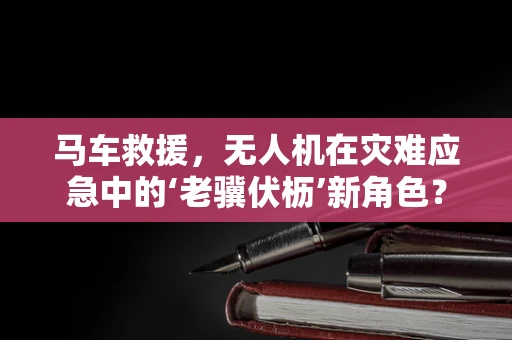 马车救援，无人机在灾难应急中的‘老骥伏枥’新角色？