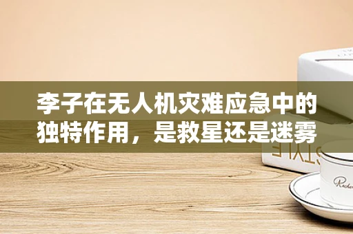 李子在无人机灾难应急中的独特作用，是救星还是迷雾？