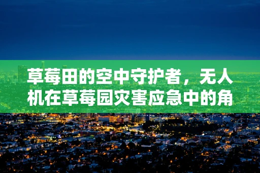 草莓田的空中守护者，无人机在草莓园灾害应急中的角色与挑战？