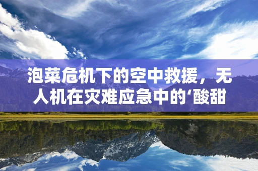 泡菜危机下的空中救援，无人机在灾难应急中的‘酸甜苦辣’