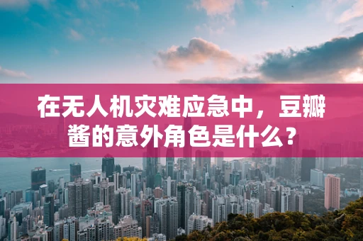 在无人机灾难应急中，豆瓣酱的意外角色是什么？
