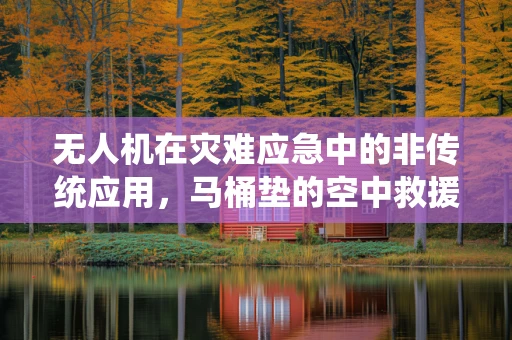 无人机在灾难应急中的非传统应用，马桶垫的空中救援意义？