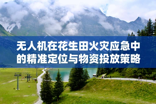 无人机在花生田火灾应急中的精准定位与物资投放策略探讨