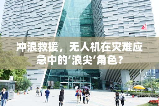 冲浪救援，无人机在灾难应急中的‘浪尖’角色？