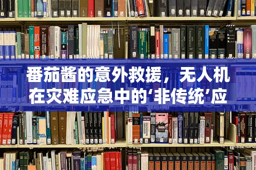 番茄酱的意外救援，无人机在灾难应急中的‘非传统’应用？