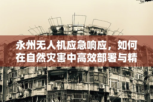 永州无人机应急响应，如何在自然灾害中高效部署与精准救援？