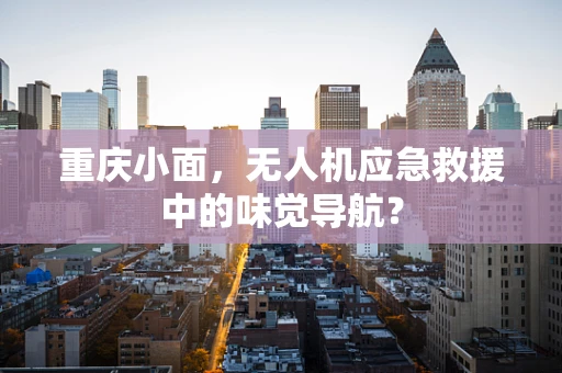 重庆小面，无人机应急救援中的味觉导航？