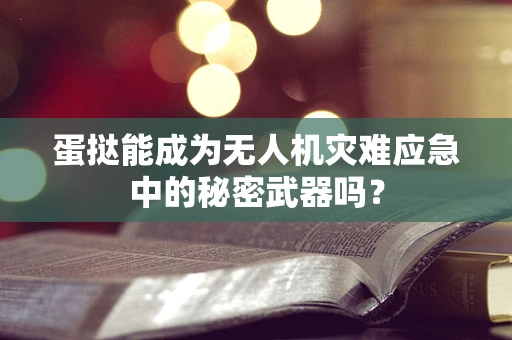 蛋挞能成为无人机灾难应急中的秘密武器吗？