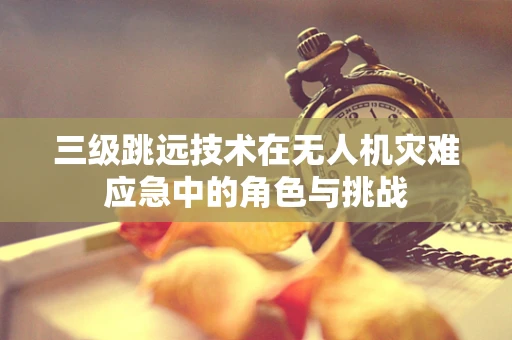 三级跳远技术在无人机灾难应急中的角色与挑战