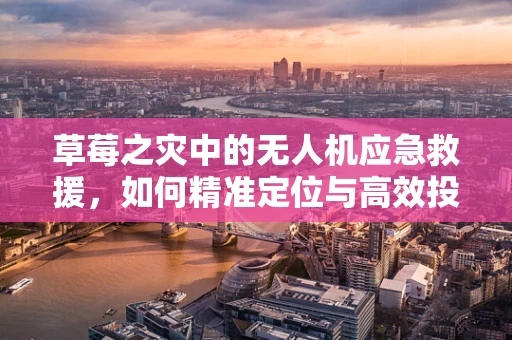 草莓之灾中的无人机应急救援，如何精准定位与高效投送？