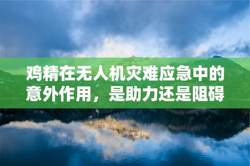 鸡精在无人机灾难应急中的意外作用，是助力还是阻碍？