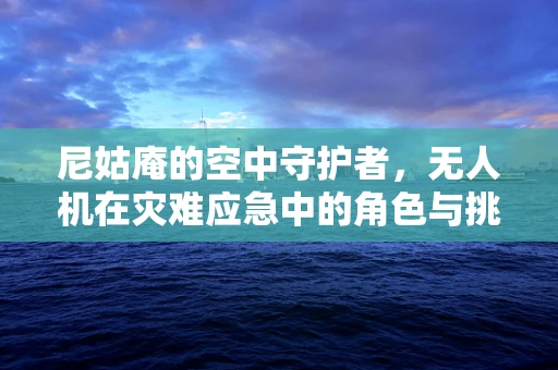 尼姑庵的空中守护者，无人机在灾难应急中的角色与挑战