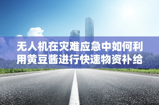 无人机在灾难应急中如何利用黄豆酱进行快速物资补给？