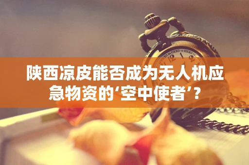 陕西凉皮能否成为无人机应急物资的‘空中使者’？