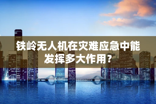 铁岭无人机在灾难应急中能发挥多大作用？