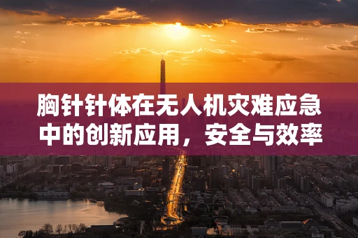 胸针针体在无人机灾难应急中的创新应用，安全与效率的双重挑战？
