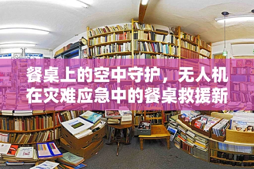 餐桌上的空中守护，无人机在灾难应急中的餐桌救援新策略？