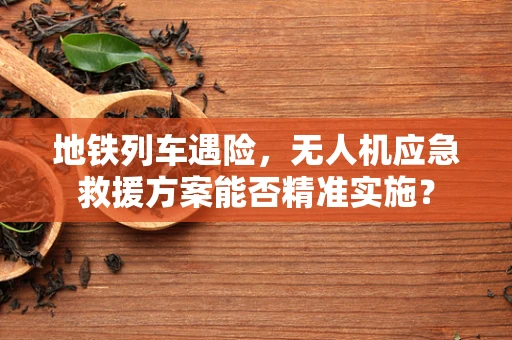 地铁列车遇险，无人机应急救援方案能否精准实施？
