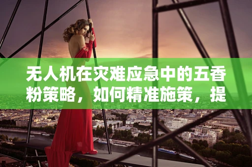 无人机在灾难应急中的五香粉策略，如何精准施策，提升救援效率？