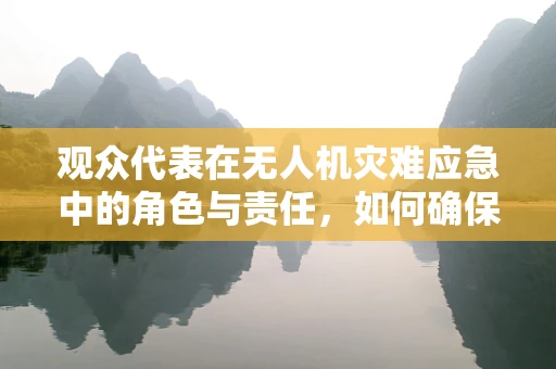 观众代表在无人机灾难应急中的角色与责任，如何确保安全与信息传递？