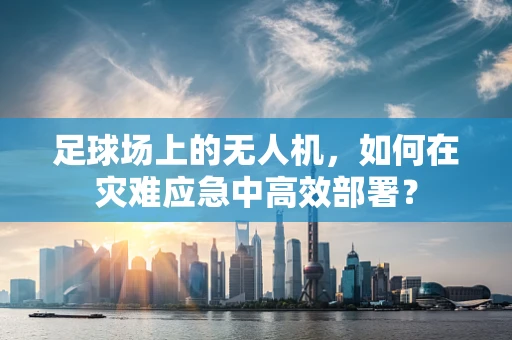 足球场上的无人机，如何在灾难应急中高效部署？
