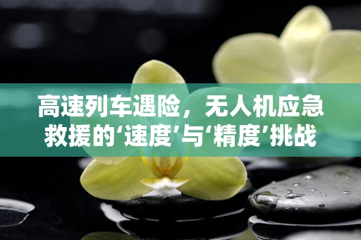 高速列车遇险，无人机应急救援的‘速度’与‘精度’挑战