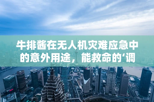 牛排酱在无人机灾难应急中的意外用途，能救命的‘调料’？