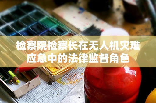 检察院检察长在无人机灾难应急中的法律监督角色